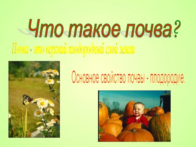 Что такое почва? Почва - это верхний плодородный слой земли Основное свойство почвы - плодородие.