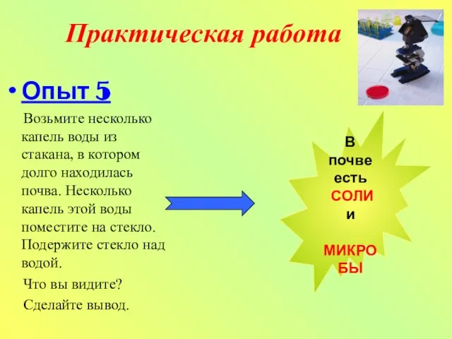 Практическая работа Опыт 5 Возьмите несколько капель воды из стакана, в котором