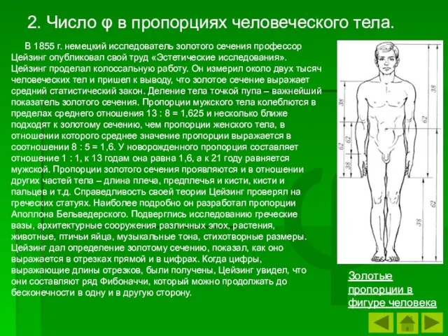 φ В 1855 г. немецкий исследователь золотого сечения профессор Цейзинг опубликовал свой