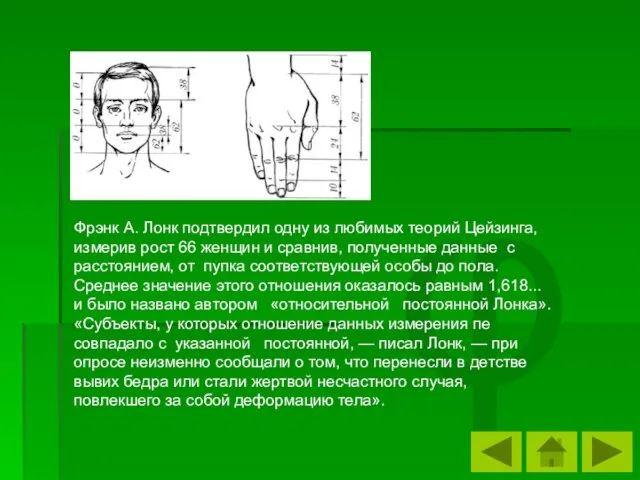 φ Фрэнк А. Лонк подтвердил одну из любимых теорий Цейзинга, измерив рост