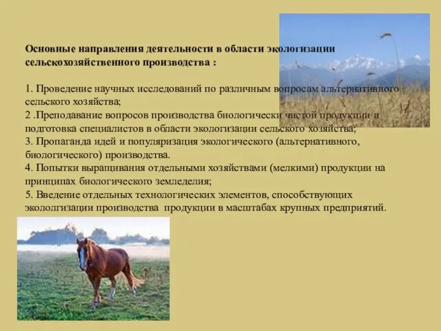 Основные направления деятельности в области экологизации сельскохозяйственного производства : 1. Проведение научных