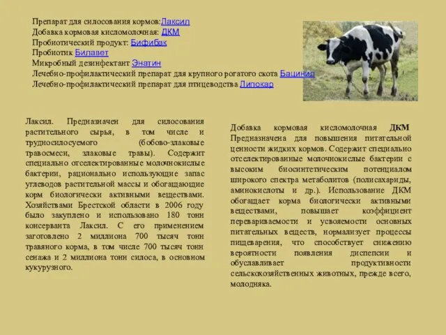 Лаксил. Предназначен для силосования растительного сырья, в том числе и трудносилосуемого (бобово-злаковые