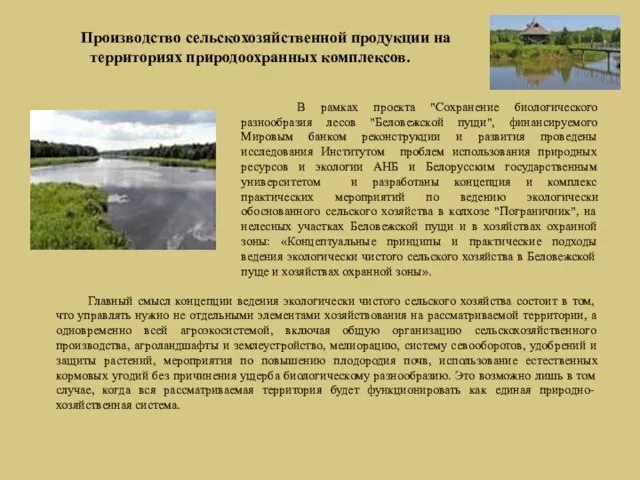 В рамках проекта "Сохранение биологического разнообразия лесов "Беловежской пущи", финансируемого Мировым банком