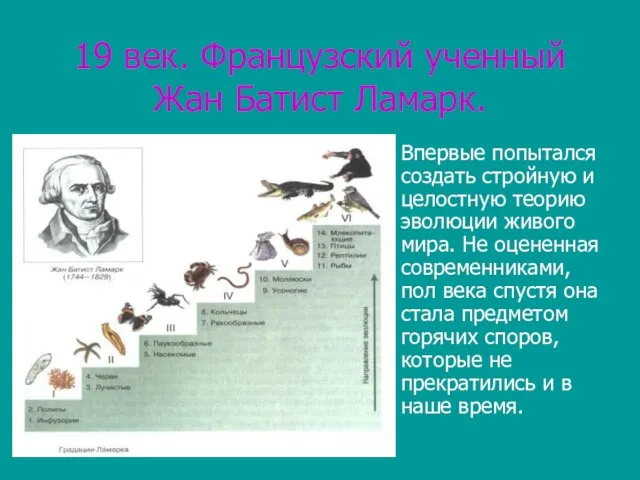 19 век. Французский ученный Жан Батист Ламарк. Впервые попытался создать стройную и