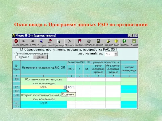 Окно ввода в Программу данных РАО по организации