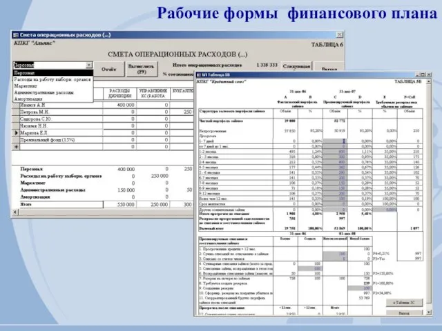 Рабочие формы финансового плана