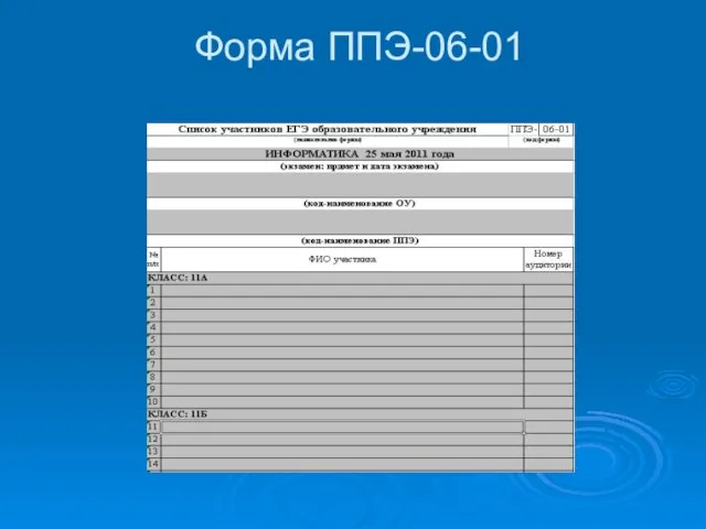 Форма ППЭ-06-01