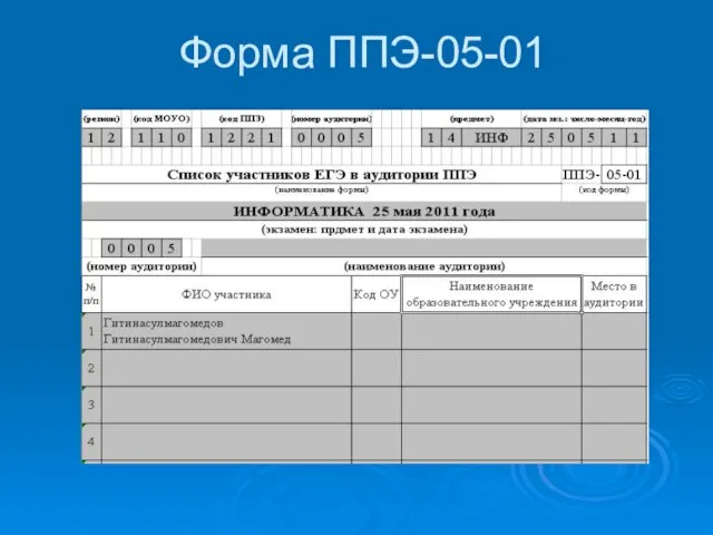 Форма ППЭ-05-01