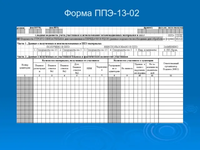 Форма ППЭ-13-02