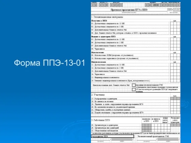 Форма ППЭ-13-01