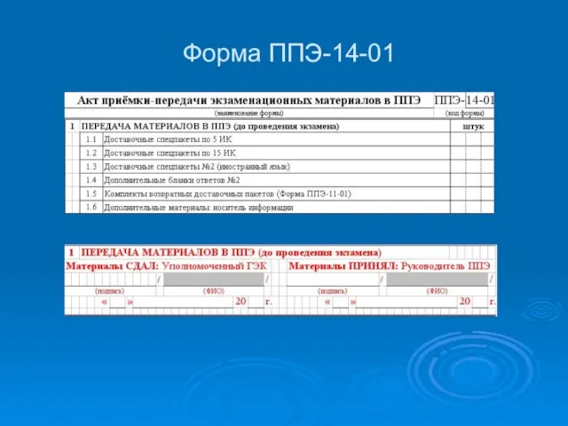 Форма ППЭ-14-01