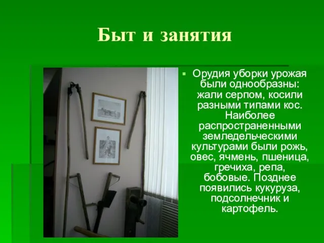 Быт и занятия Орудия уборки урожая были однообразны: жали серпом, косили разными