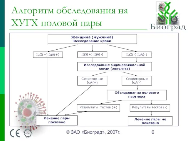 © ЗАО «Биоград», 2007г. Алгоритм обследования на ХУГХ половой пары