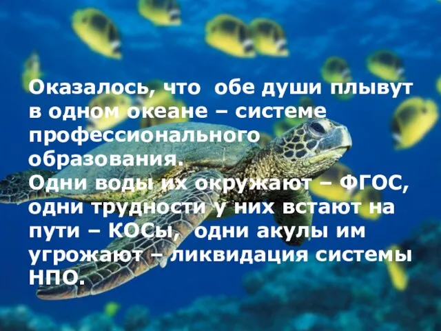 Оказалось, что обе души плывут в одном океане – системе профессионального образования.