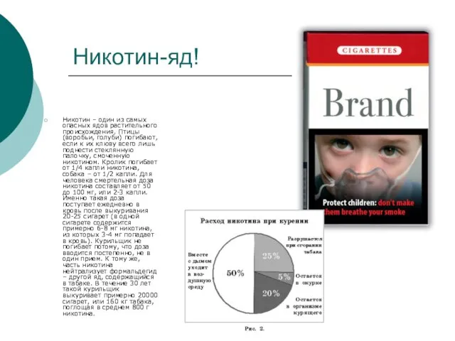 Никотин-яд! Никотин – один из самых опасных ядов растительного происхождения. Птицы (воробьи,