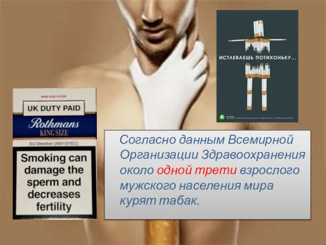 Согласно данным Всемирной Организации Здравоохранения около одной трети взрослого мужского населения мира курят табак.