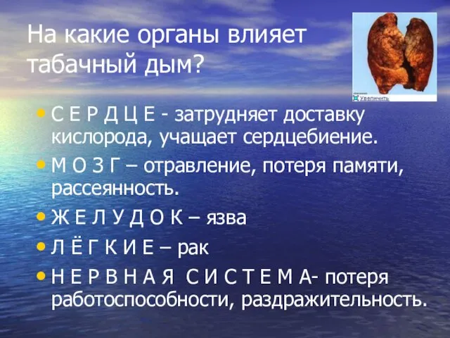 На какие органы влияет табачный дым? С Е Р Д Ц Е