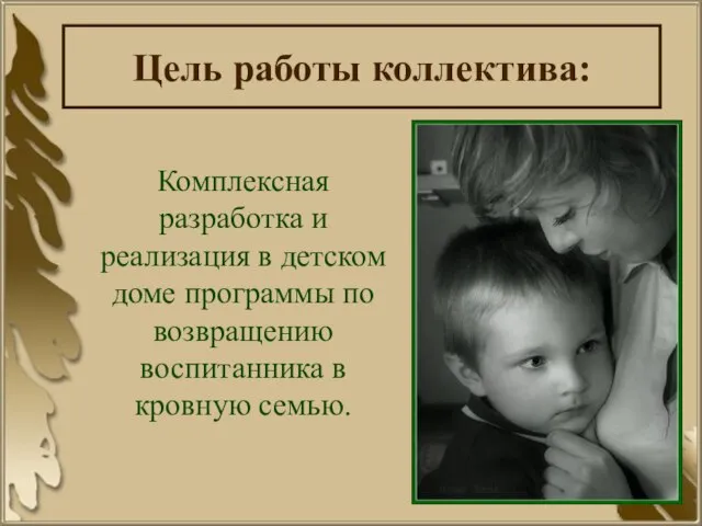 Цель работы коллектива: Комплексная разработка и реализация в детском доме программы по