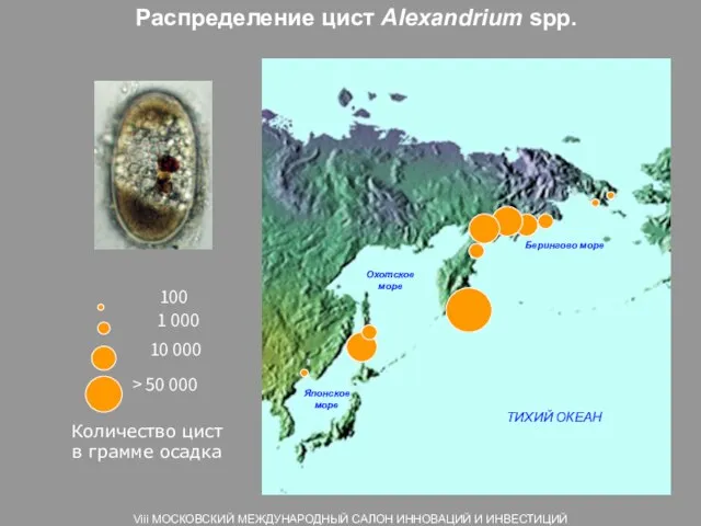 Распределение цист Alexandrium spp. • > 50 000 100 1 000 10