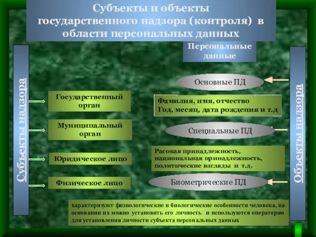 Субъекты надзора Объекты надзора Государственный орган Персональные данные Муниципальный орган Юридическое лицо