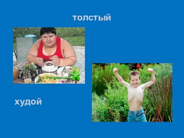 толстый худой