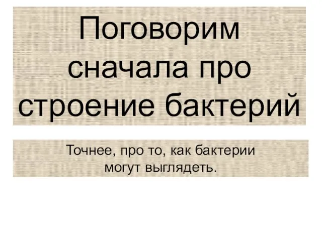 Поговорим сначала про строение бактерий Точнее, про то, как бактерии могут выглядеть.