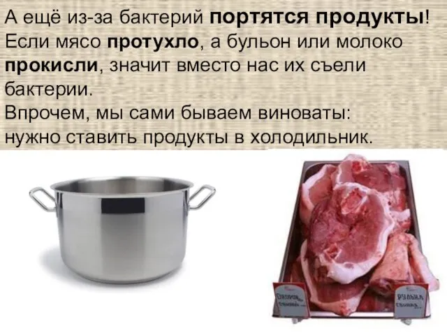 А ещё из-за бактерий портятся продукты! Если мясо протухло, а бульон или