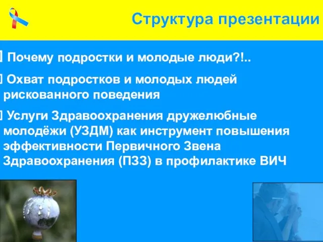 Структура презентации Почему подростки и молодые люди?!.. Охват подростков и молодых людей