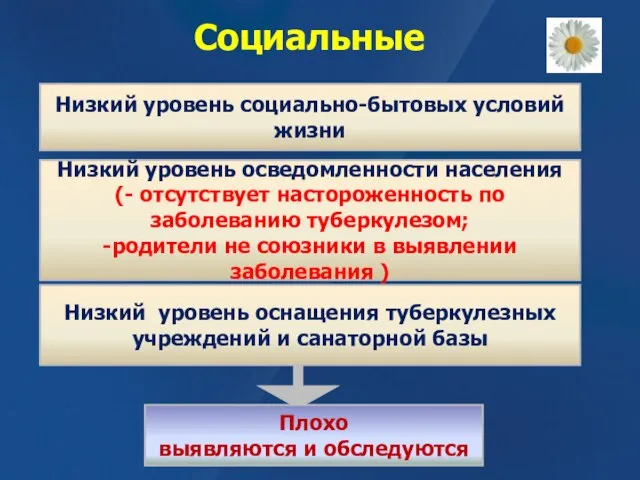 Социальные Плохо выявляются и обследуются Низкий уровень социально-бытовых условий жизни Низкий уровень