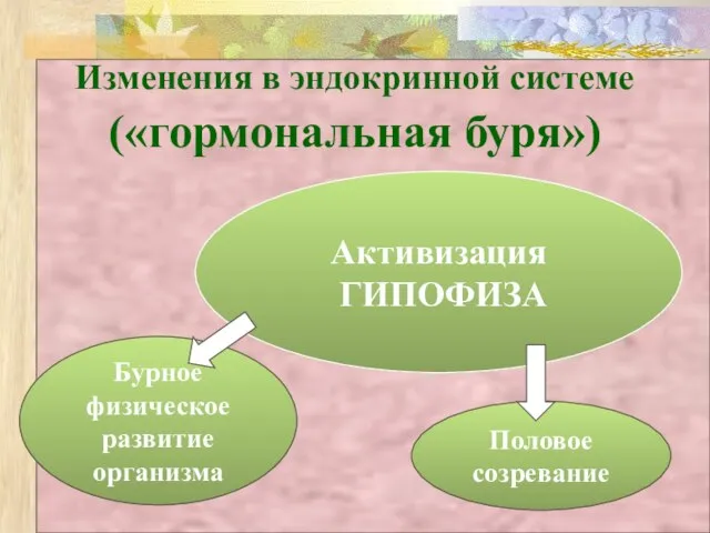 Изменения в эндокринной системе («гормональная буря»)