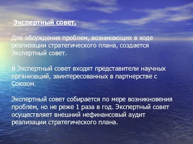 Экспертный совет. Для обсуждения проблем, возникающих в ходе реализации стратегического плана, создается