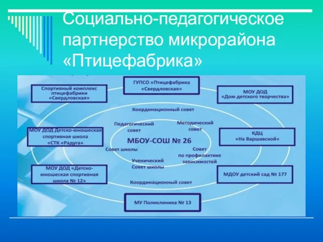 Социально-педагогическое партнерство микрорайона «Птицефабрика»