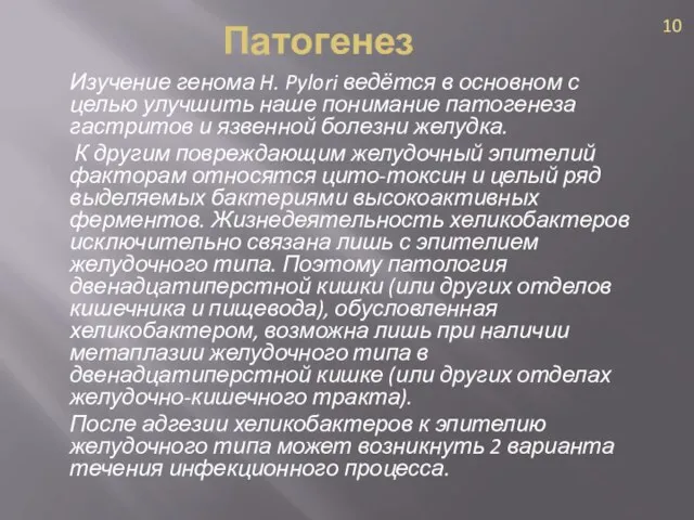 Патогенез Изучение генома H. Pylori ведётся в основном с целью улучшить наше