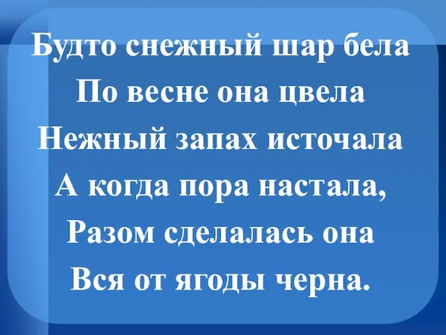 Будто снежный шар бела По весне она цвела Нежный запах источала А