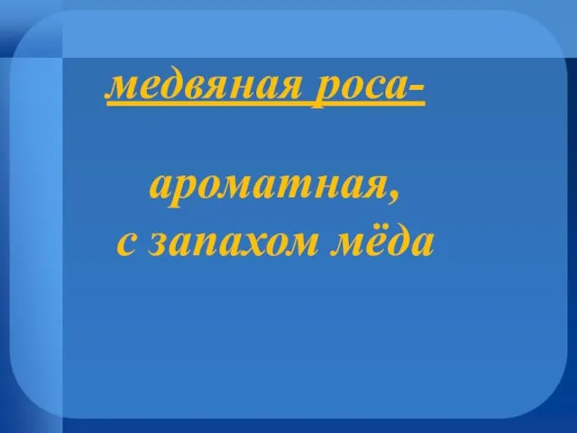 медвяная роса- ароматная, с запахом мёда