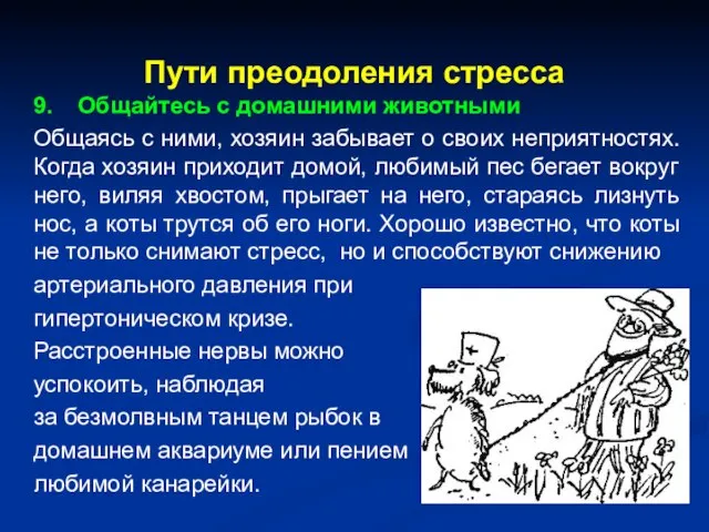 Пути преодоления стресса 9. Общайтесь с домашними животными Общаясь с ними, хозяин