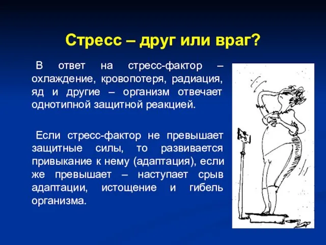 Стресс – друг или враг? В ответ на стресс-фактор – охлаждение, кровопотеря,