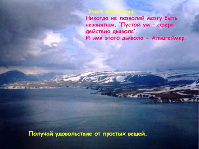 Учись всю жизнь. Никогда не позволяй мозгу быть незанятым. ‘Пустой ум –