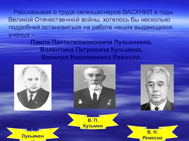 Рассказывая о труде селекционеров ВАСХНИЛ в годы Великой Отечественной войны, хотелось бы