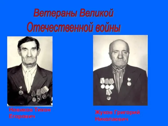 Ветераны Великой Отечественной войны Новиков Тихон Егорович Жуков Григорий Николаевич