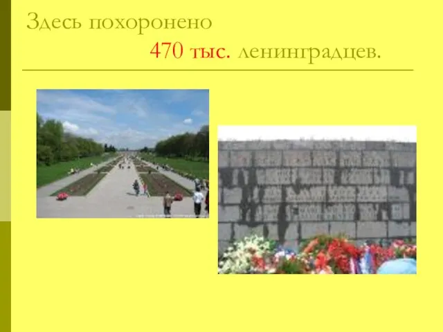 Здесь похоронено 470 тыс. ленинградцев.