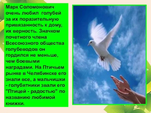 Марк Соломонович очень любил голубей за их поразительную привязанность к дому, их