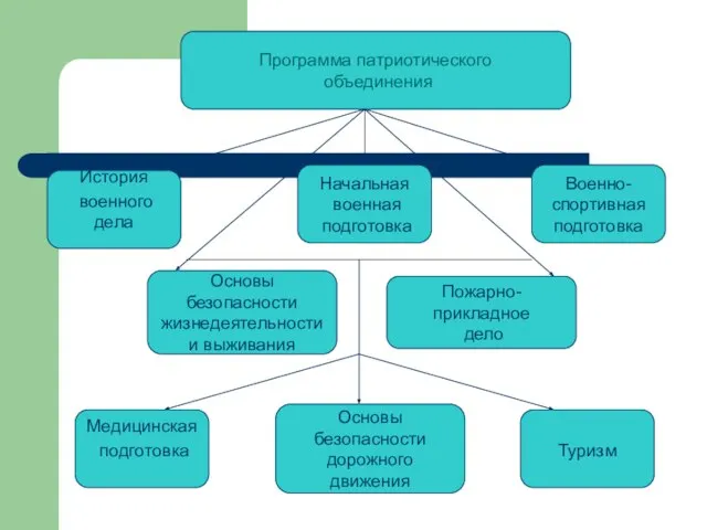 Программа патриотического объединения История военного дела Основы безопасности жизнедеятельности и выживания Медицинская