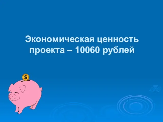 Экономическая ценность проекта – 10060 рублей