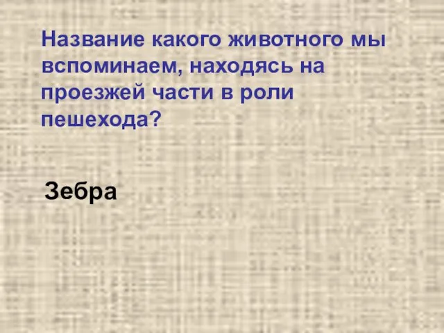 Название какого животного мы вспоминаем, находясь на проезжей части в роли пешехода? Зебра