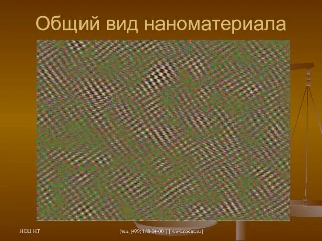 НОЦ НТ |тел. (499) 188-04-00 || www.nocnt.ru| Общий вид наноматериала