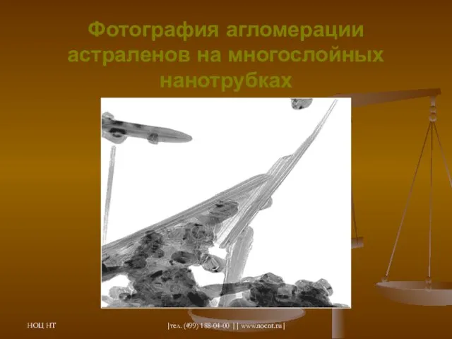 НОЦ НТ |тел. (499) 188-04-00 || www.nocnt.ru| Фотография агломерации астраленов на многослойных нанотрубках