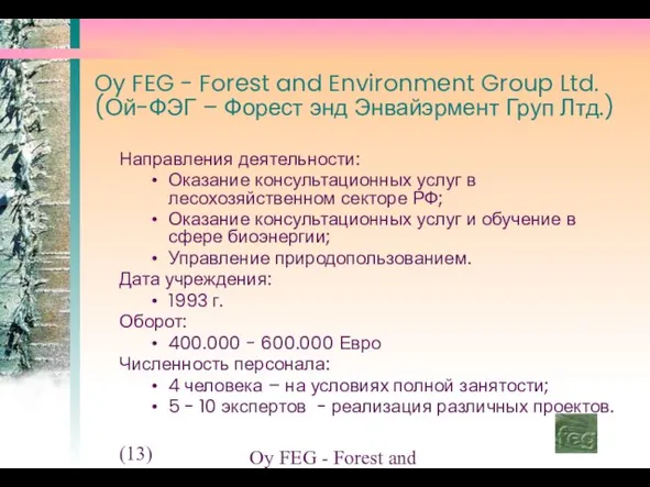 (13) Oy FEG - Forest and Environment Group Ltd. Oy FEG -