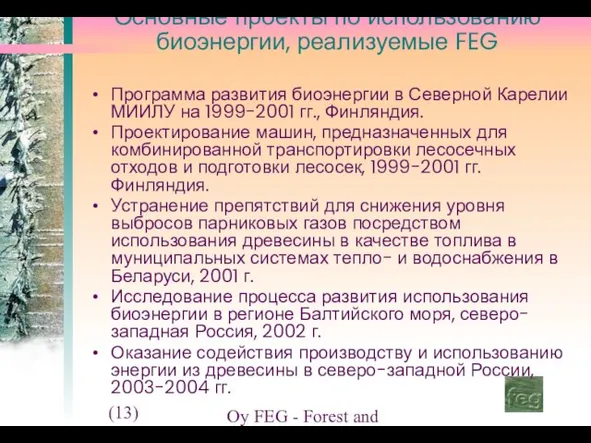 (13) Oy FEG - Forest and Environment Group Ltd. Основные проекты по