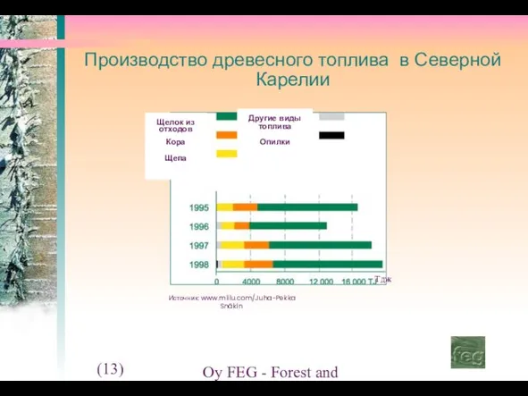 (13) Oy FEG - Forest and Environment Group Ltd. Производство древесного топлива